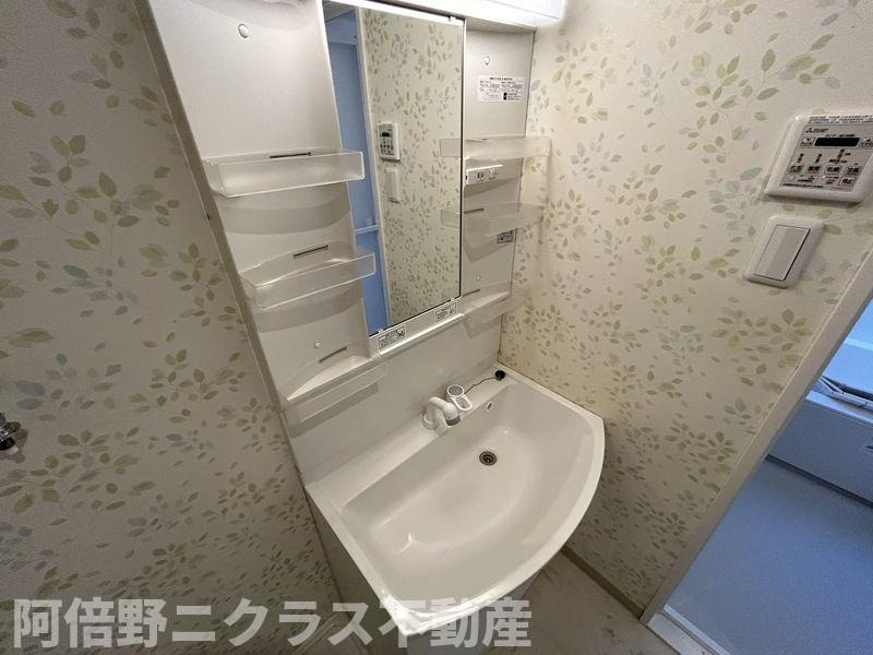 オブリオポルタ上町台の独立洗面台