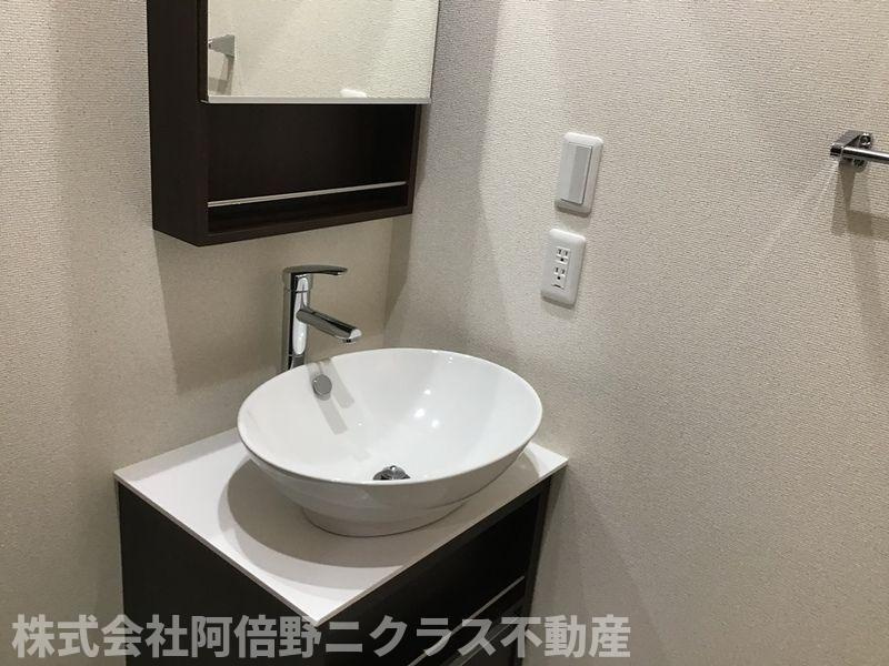 フジパレス阪南町Ⅰ番館 の洗面所