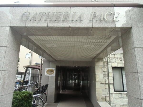 GATHERIA　PACEのその他
