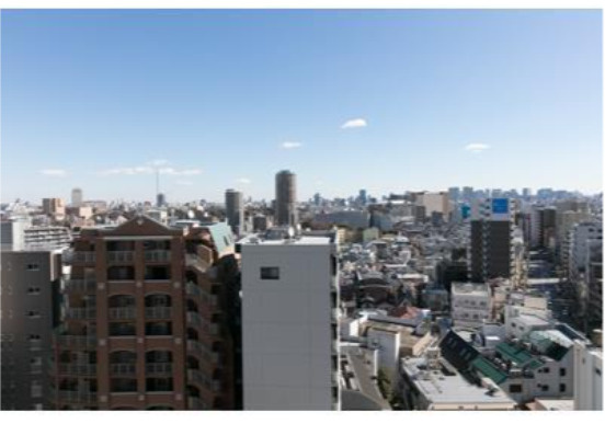 センテニアルタワーの展望