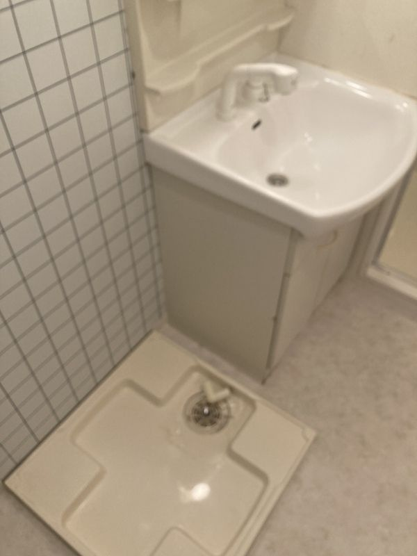 コンチネンタル東小橋の洗面所