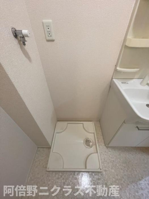 パライソのその他