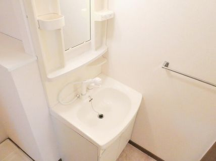 ハイムフローラの洗面所