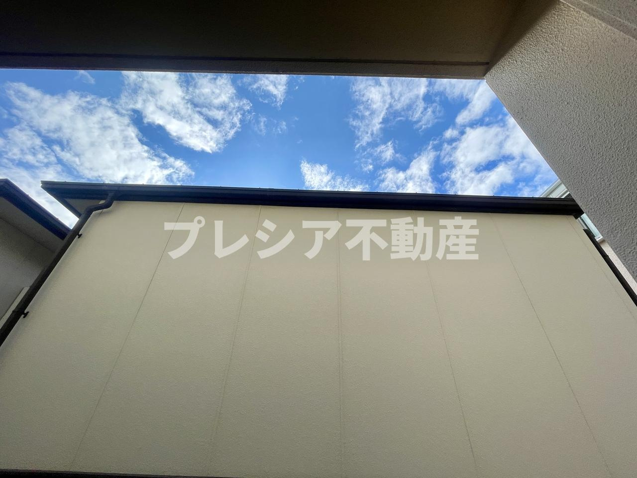 コロナール甲子園の展望