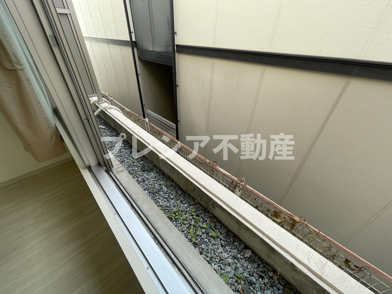 コロナール甲子園のその他