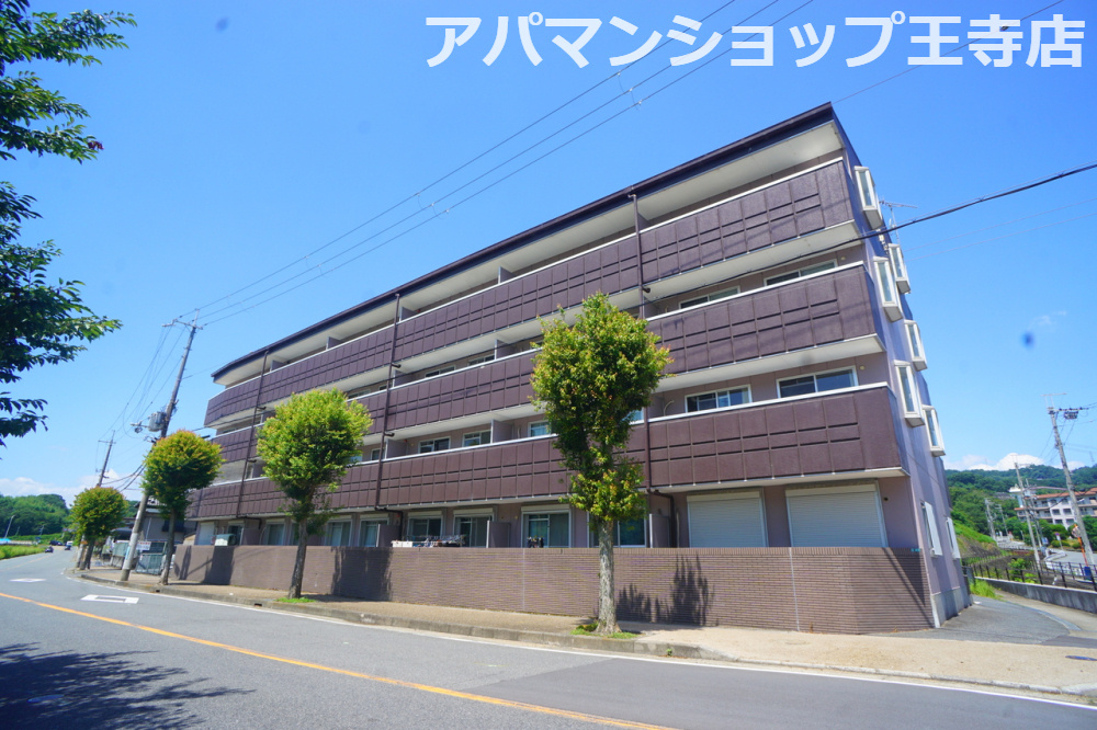 カーサグランデオカモトの外観