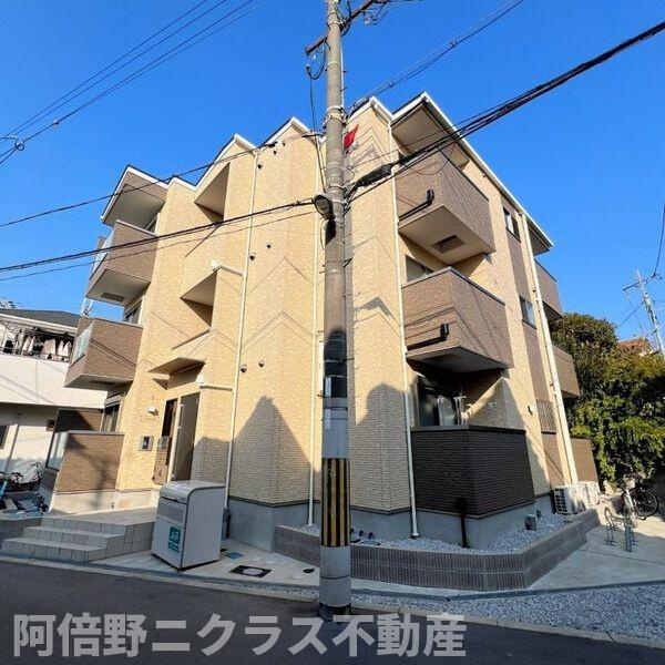 F asecia minosのその他