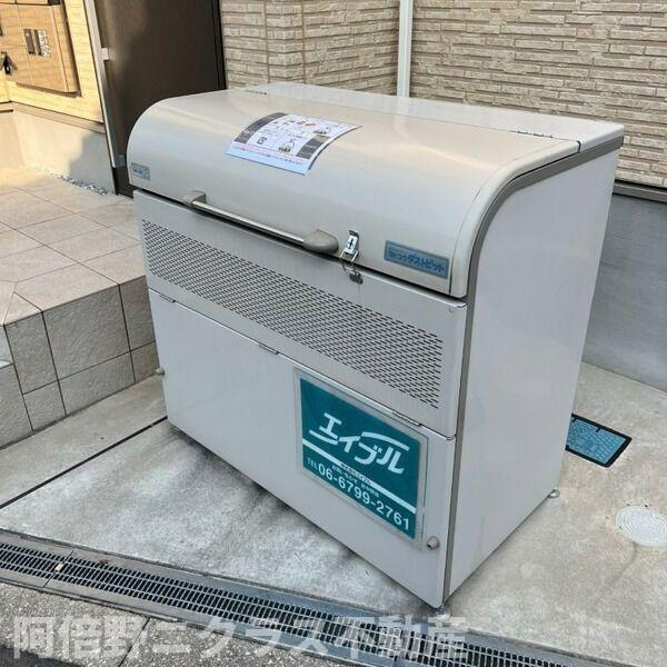 F asecia minosのその他