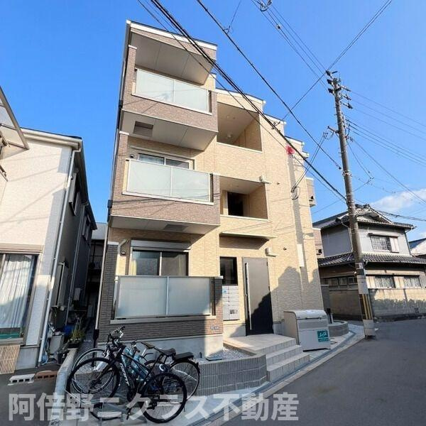 F asecia minosの外観