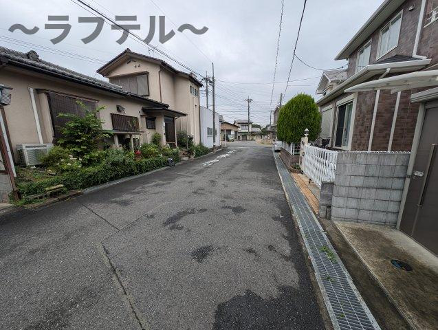 マトリカリアの周辺