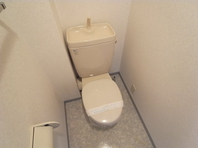 椿のトイレ