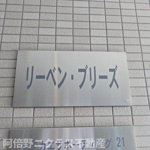 リーベン・ブリーズのその他