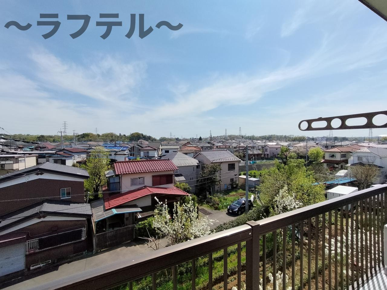 ワイケイパレスの展望