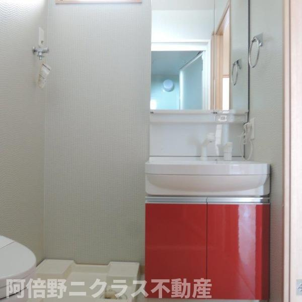 Ritz東住吉の洗面所