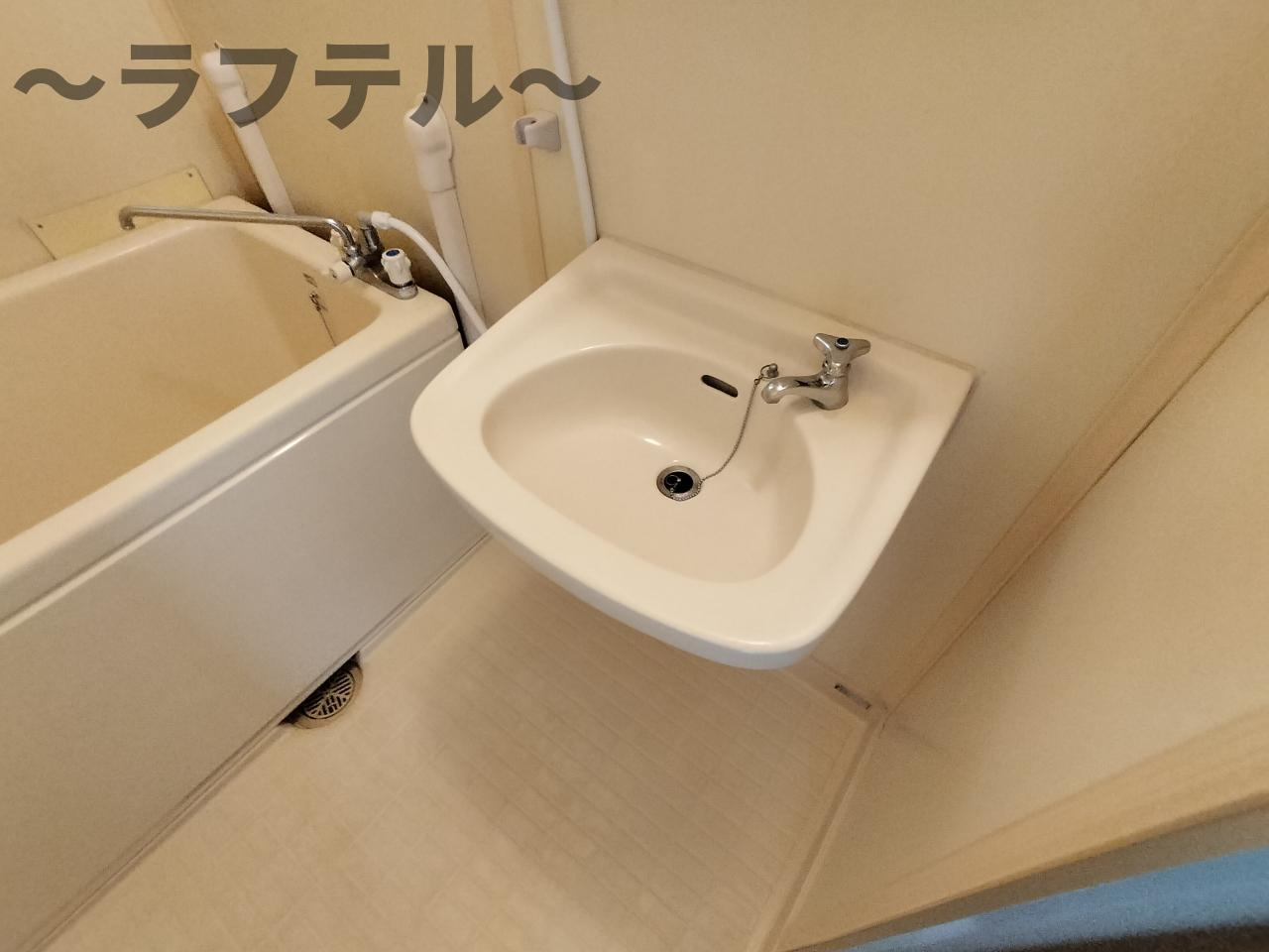 リバーサイドハイツA棟の洗面所