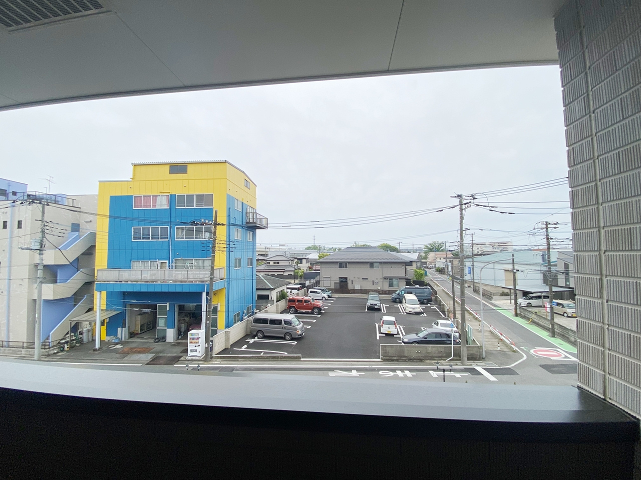 オリーブの展望