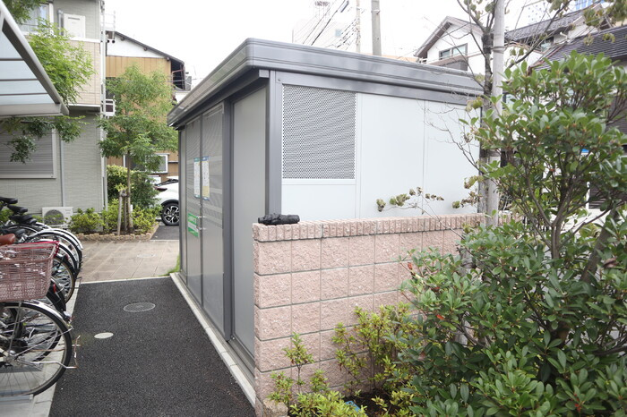 Belle Colineのその他