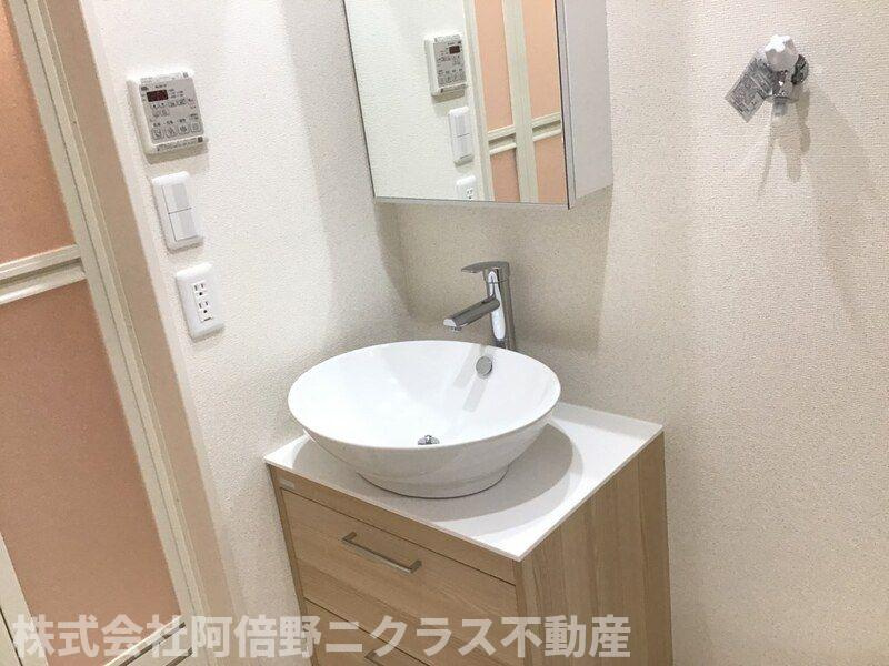 フジパレス桃谷の洗面所