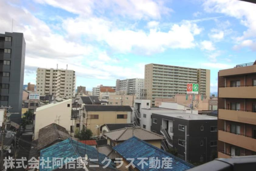 ブルーノ北畠の展望