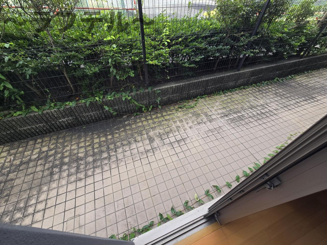 所沢市小手指南１丁目の賃貸マンションのバルコニー