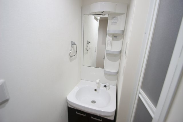川口市幸町３丁目の賃貸マンションの独立洗面台