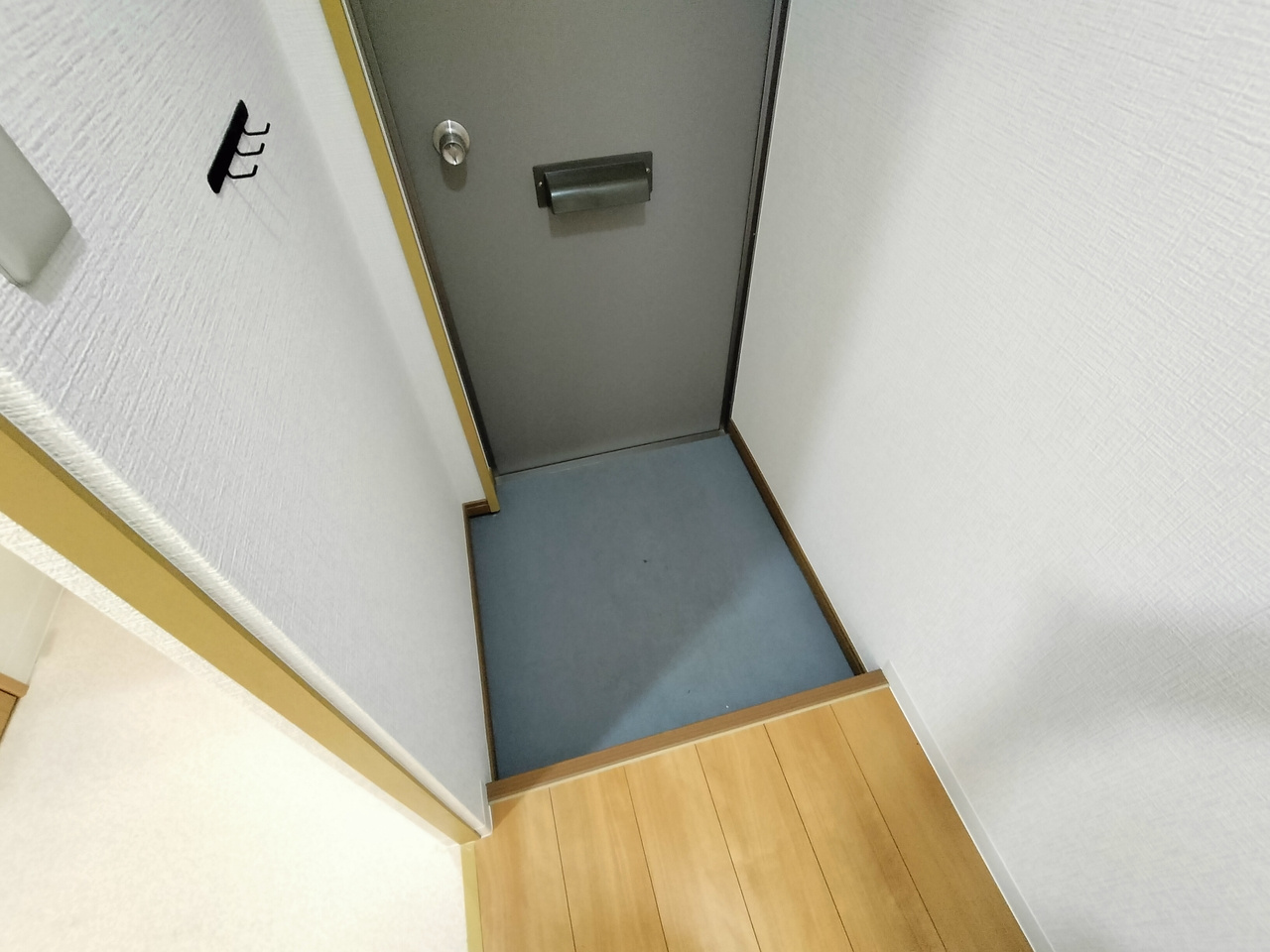 佐紀町平屋の玄関
