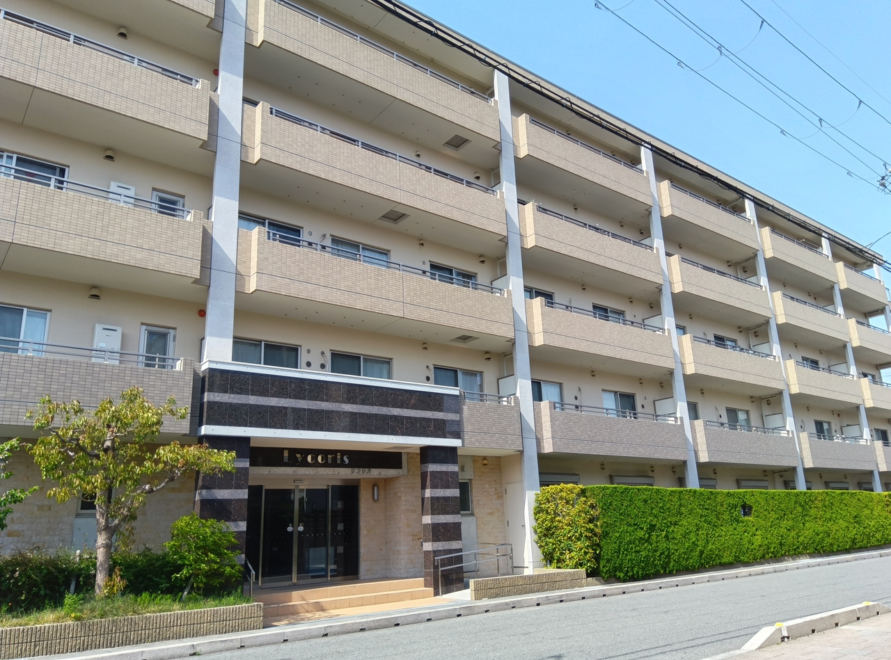 リコリスの外観
