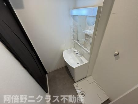 グランパシフィック長橋スクエアの洗面所