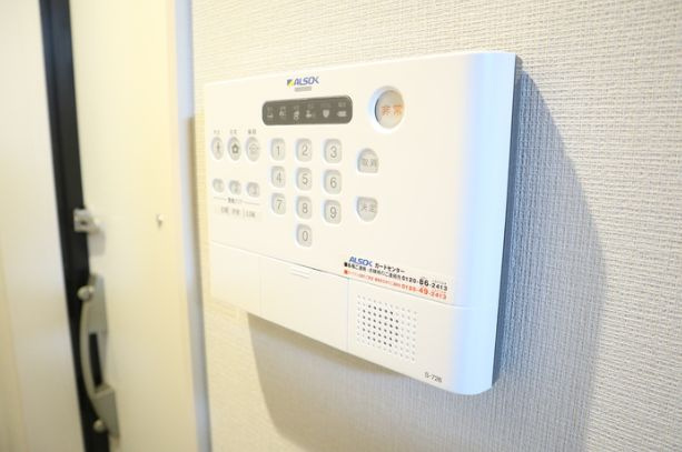 パルナシウスのその他|別室参考写真です。