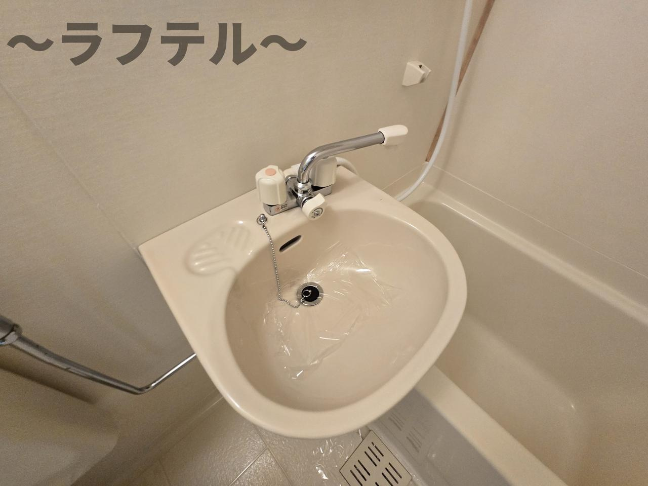 ミレニアム狭山の洗面所