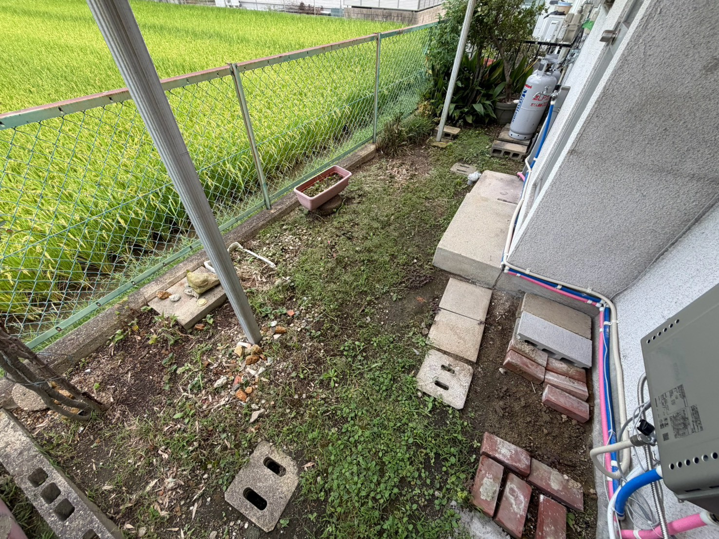 柏木町戸建の庭