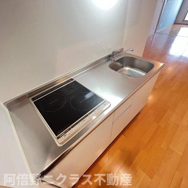 FmaisonLOREⅥ番館のキッチン