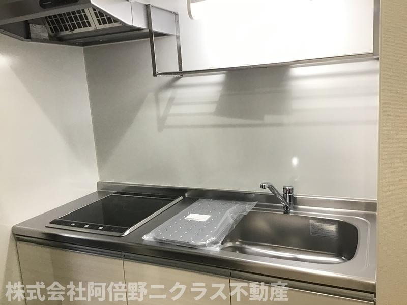 フジパレス 阪南町Ⅱ番館のキッチン