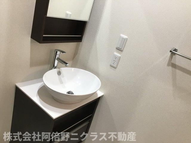 フジパレス 阪南町Ⅱ番館の洗面所