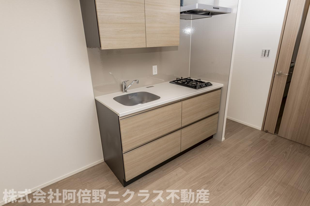 ザ・パークハビオ阿倍野昭和町のキッチン