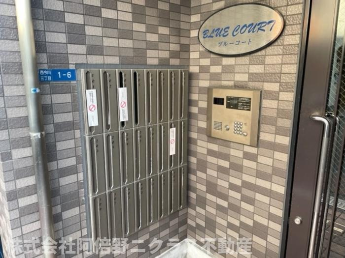 ブルーコートの設備