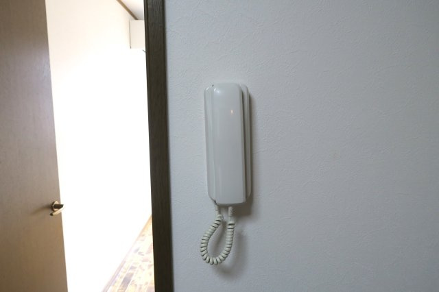 川口市南鳩ヶ谷２丁目の賃貸マンションのセキュリティ