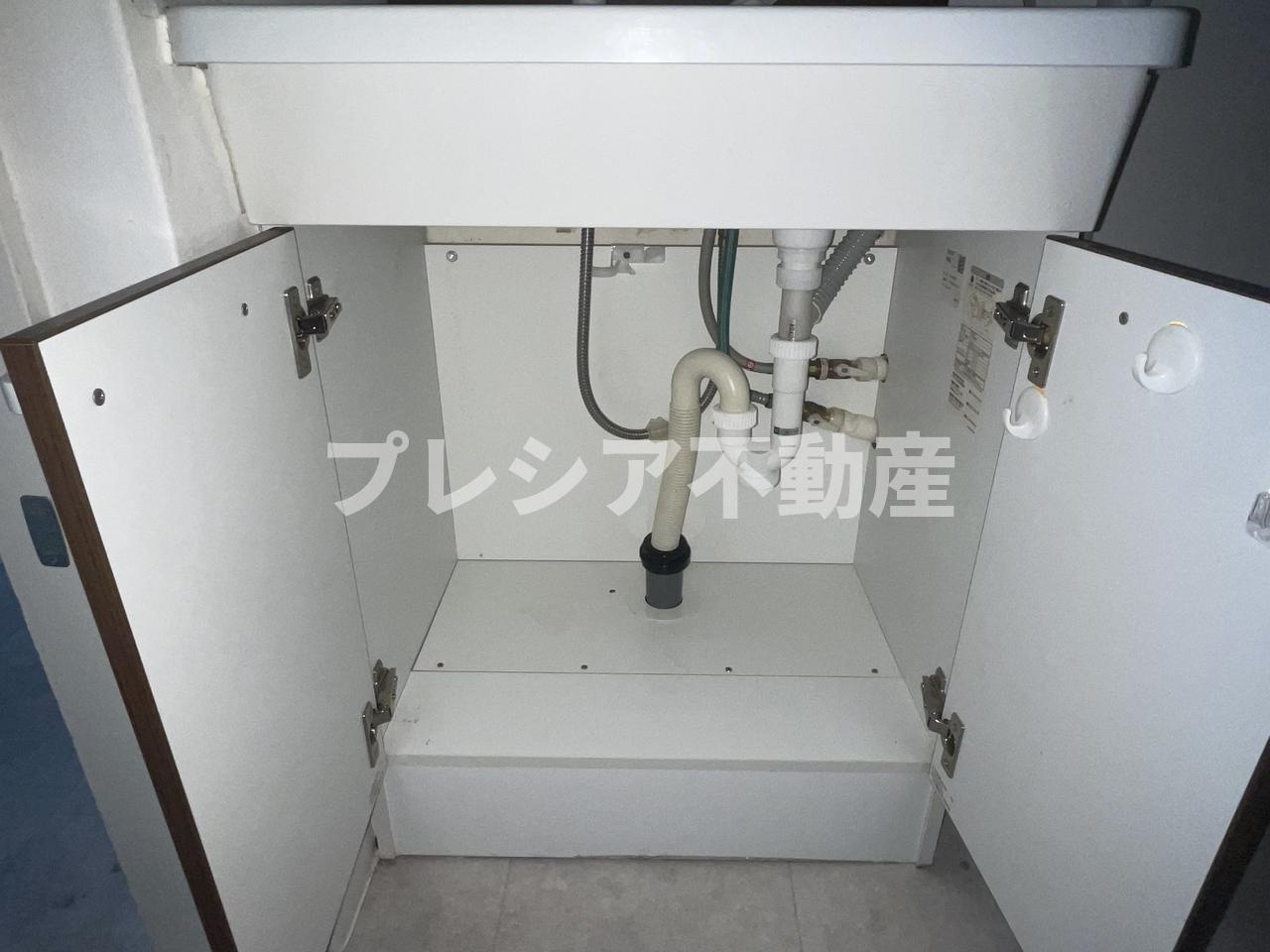 上高丸コーポラスの洗面所
