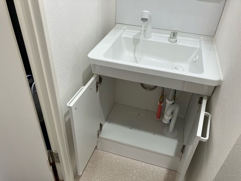 グランパシフィック桃谷の洗面所