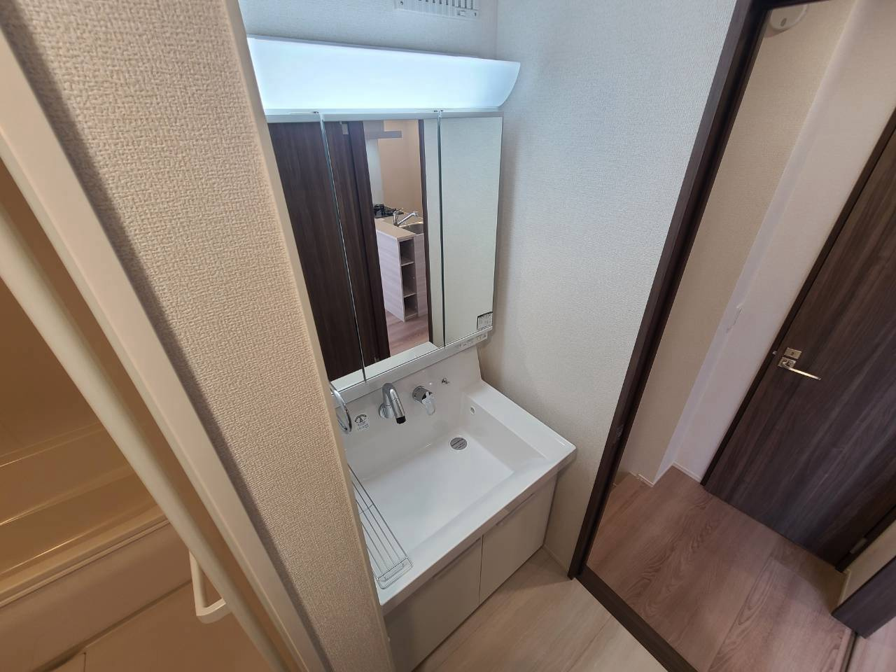 グランヴェール西ノ京の洗面所