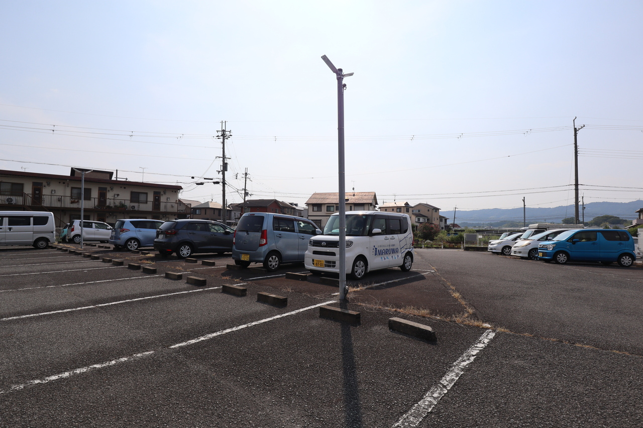 リバーフィールドの展望