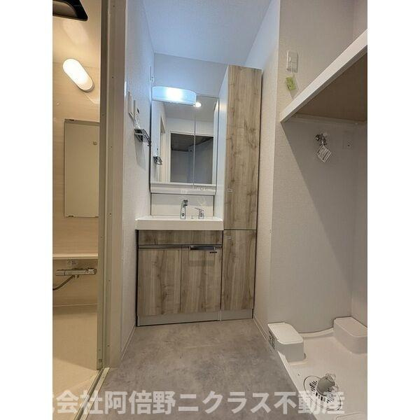シャテーニュ上本町の洗面所