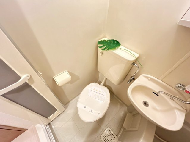 シャトー・ドゥ・クリヨンのトイレ|トイレです