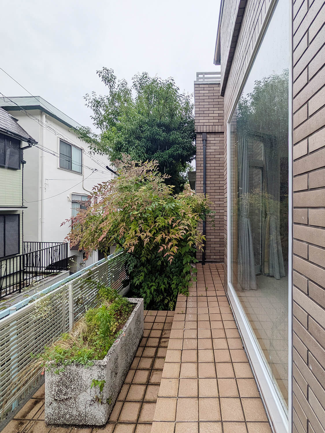 満池谷町貸家の庭