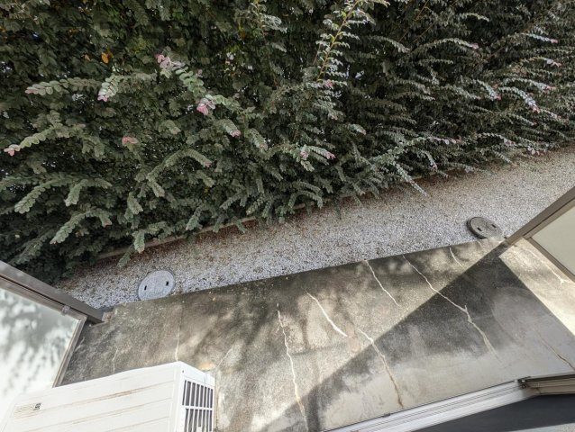 ルーヴル秋津Aの庭|別部屋イメージ写真