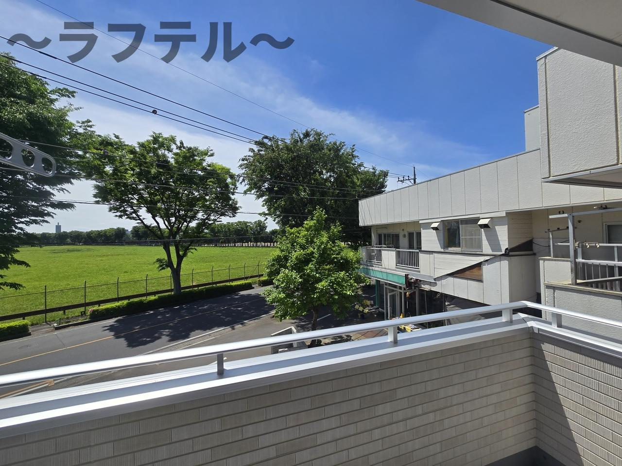 セルパンの展望