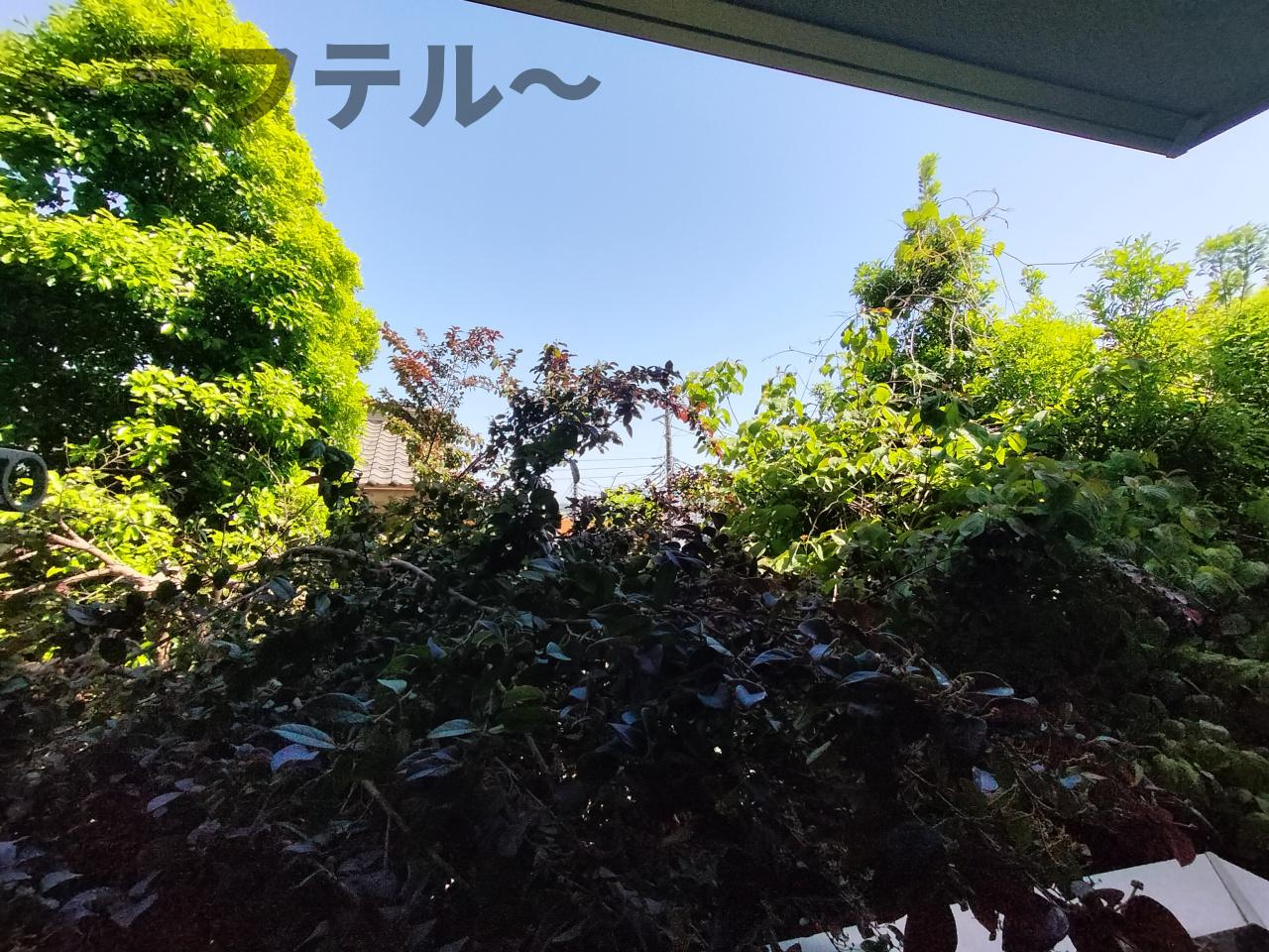 シャトレー明神の展望|別号室イメージ