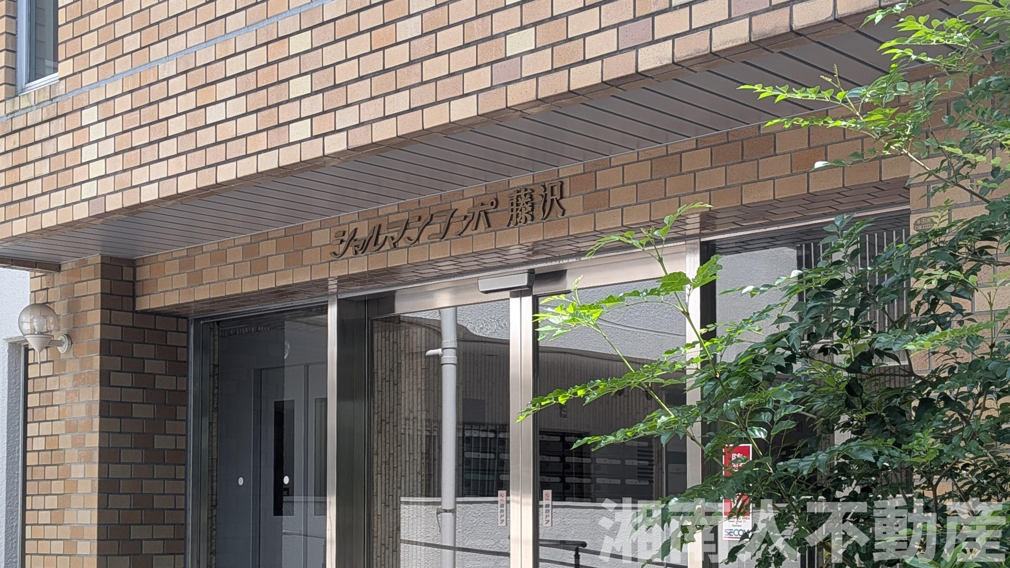 シャルマンコーポ藤沢のエントランス|清潔なエントランスです