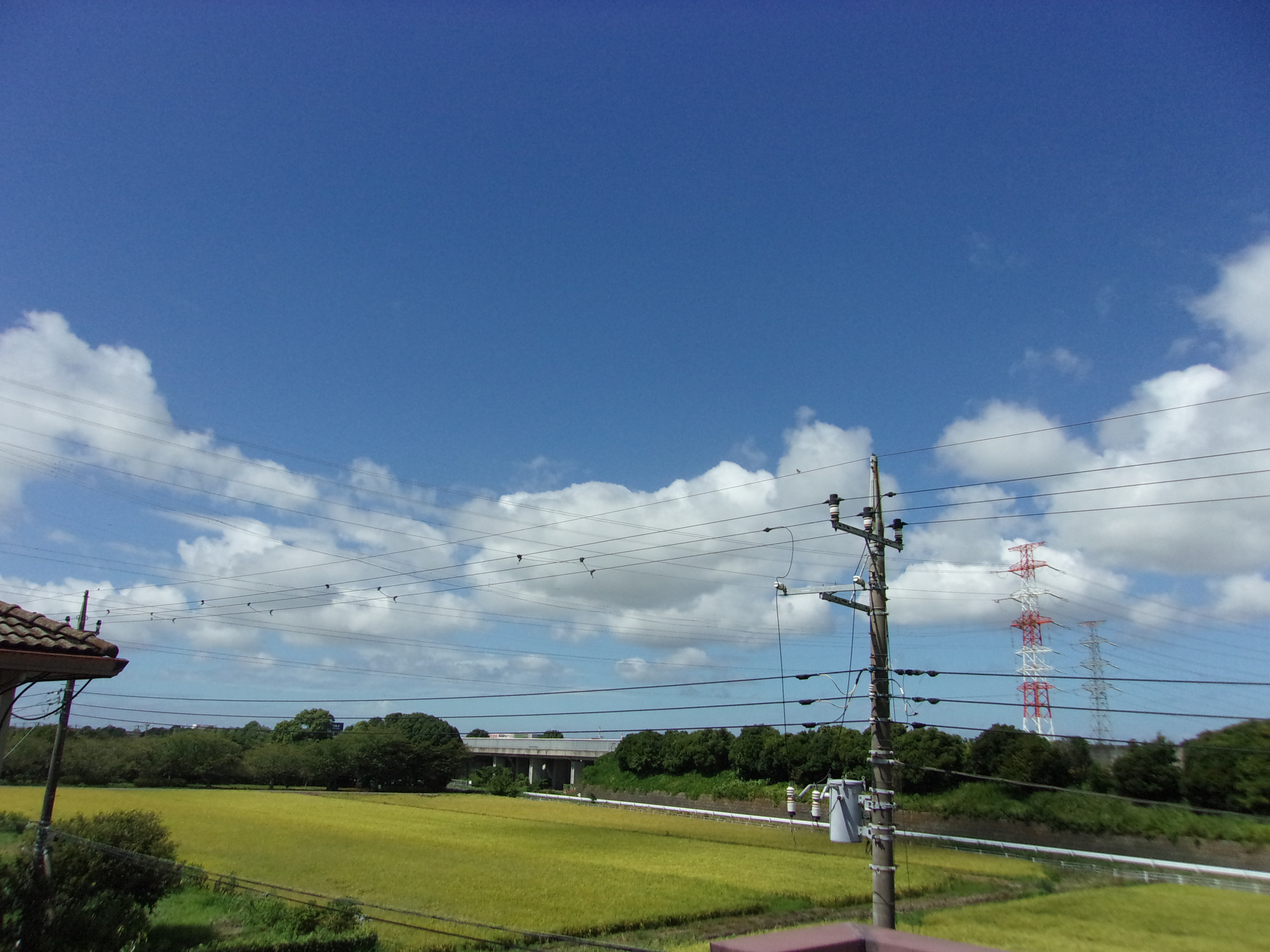 市原市北国分寺台4丁目　中古戸建の展望