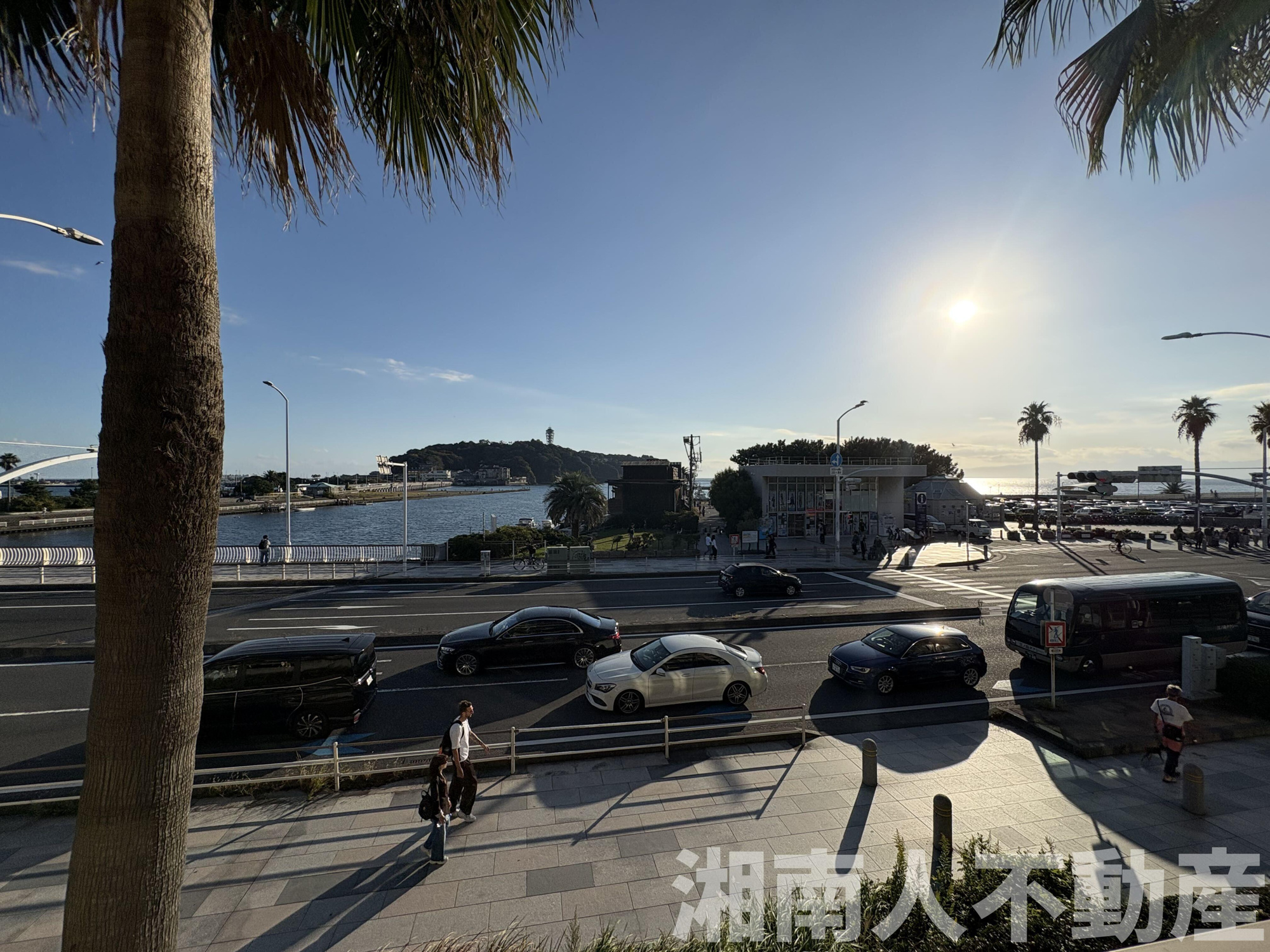 湘南江ノ島パークホームズシーサイドレジデンスの展望